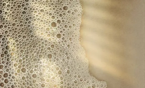 Foamy - Dangerous Liquid Products 3