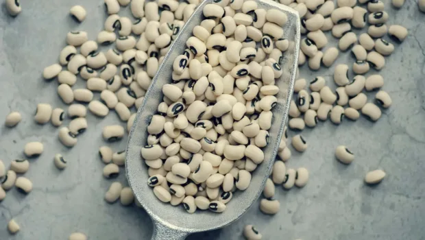 Granular dry products 3